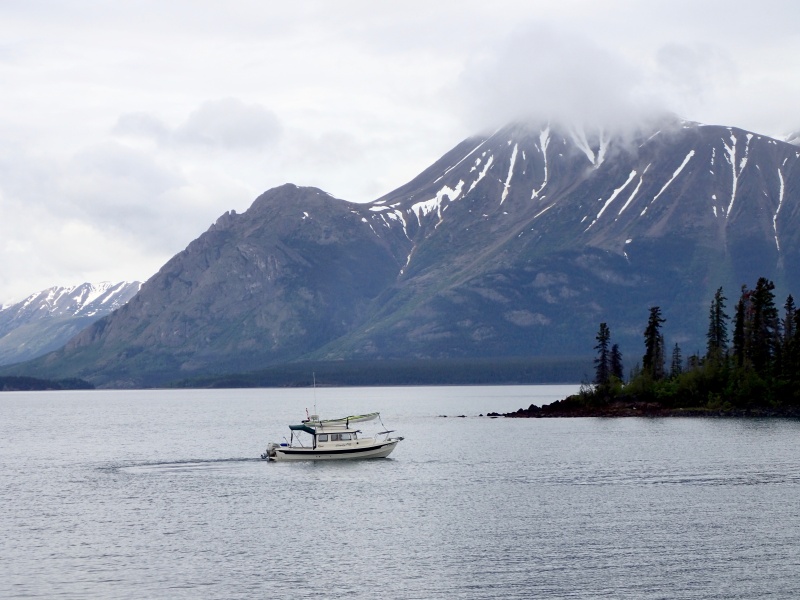 Silvertip on Atlin Lake.