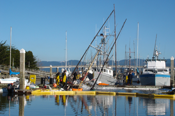 Sinker at local marina
Oil and Fuel were everywhere
