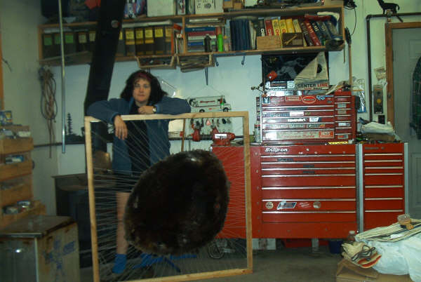 Skinned Beaver.JPG