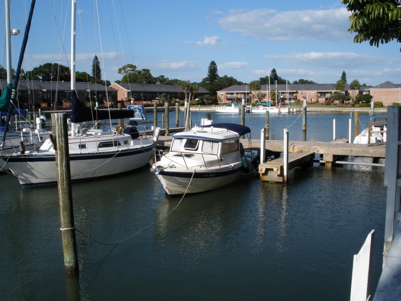 small marina  in Tampa Bay