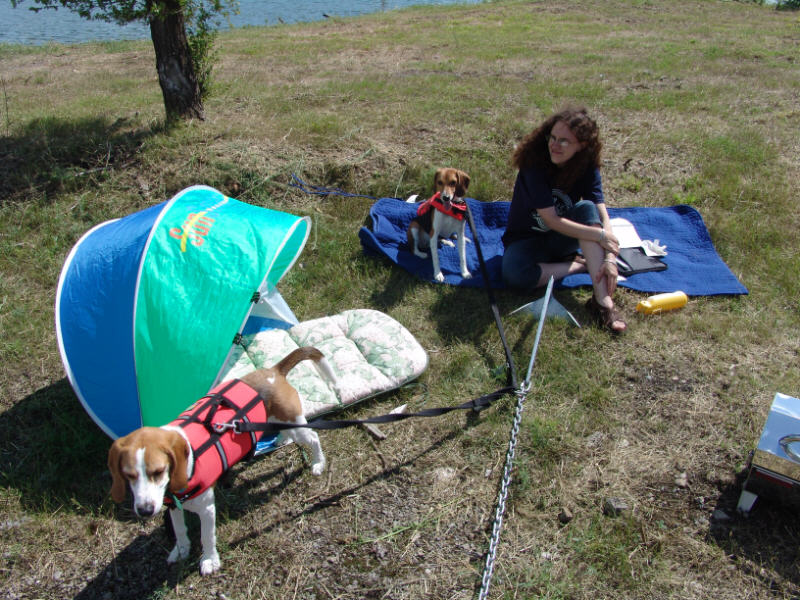 Small Picnic 5