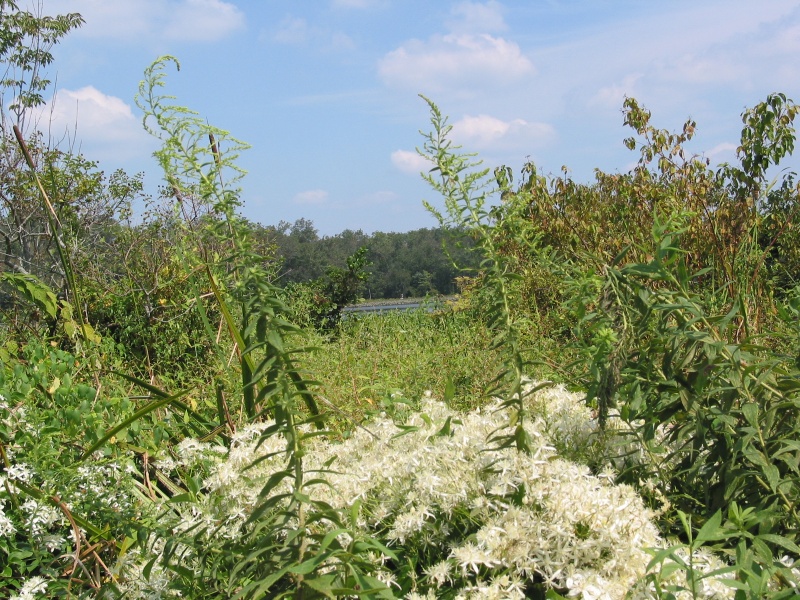 Smelled as good as it looked