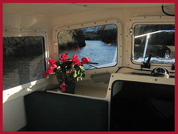 (Smuttynose) I Never Travel w/o flowers on board.