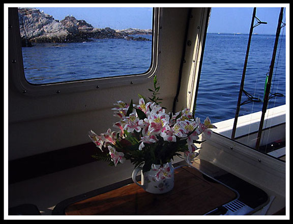 (Smuttynose) Isles of Shoals, NH