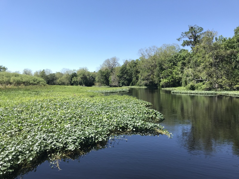 Snake Creek Cutoff