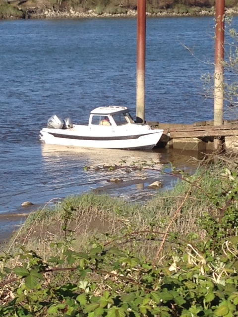 Snohomish River