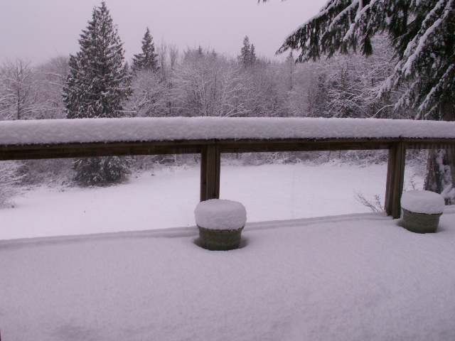 Snow on Back Deck 12-25-08 (Resized)