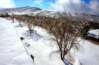 Snowy UAE 350