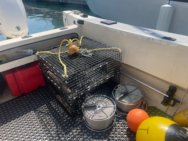 So much more space with the 400 foot shrimp pot ropes on the winders rather than in a coil or bucket.