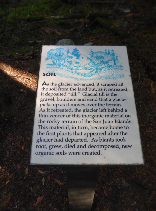 Soil