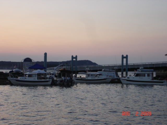 Some C-Dorys at dawn