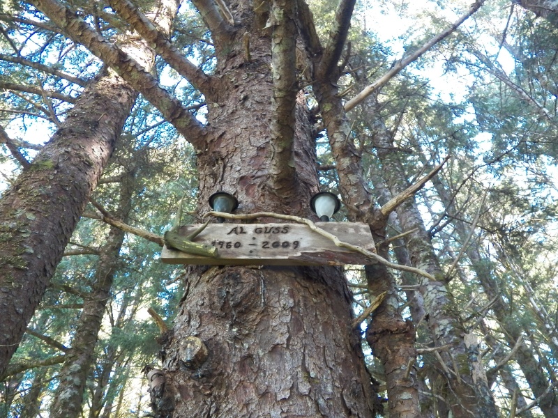 Some even to tree "burials."