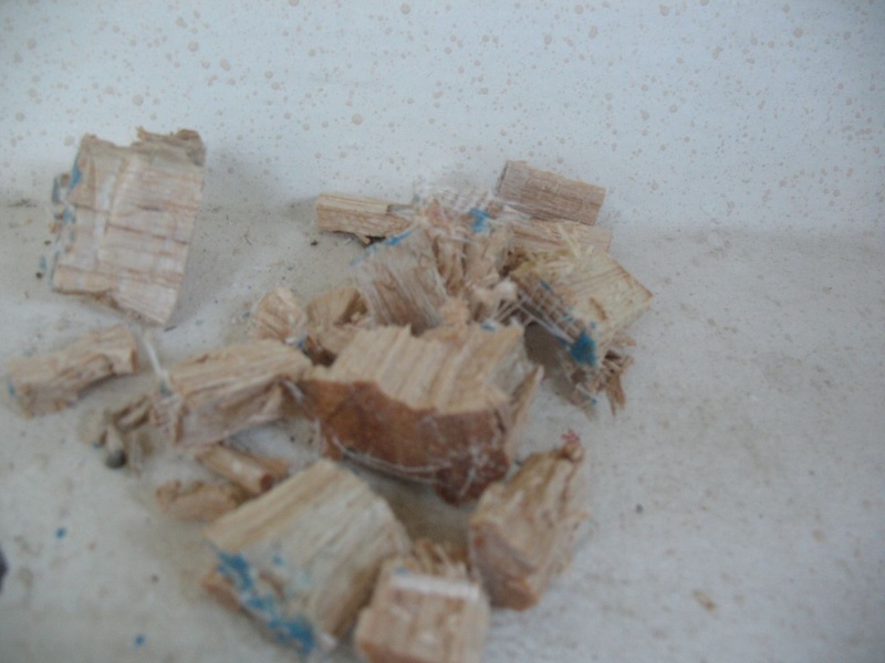Some of the removed core, dry.