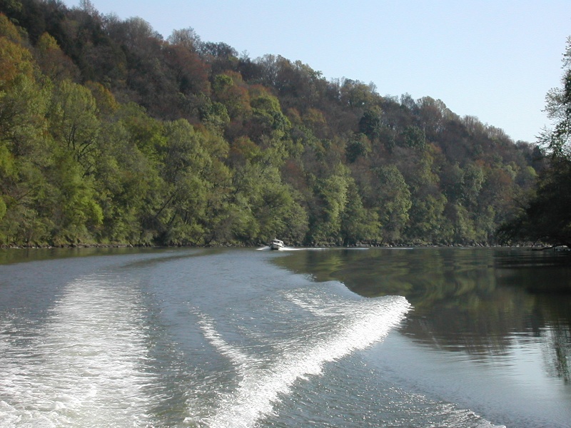 Some of the scenery