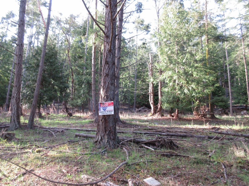 Some property for sale!  After this trip, I'm inclined to look into it!