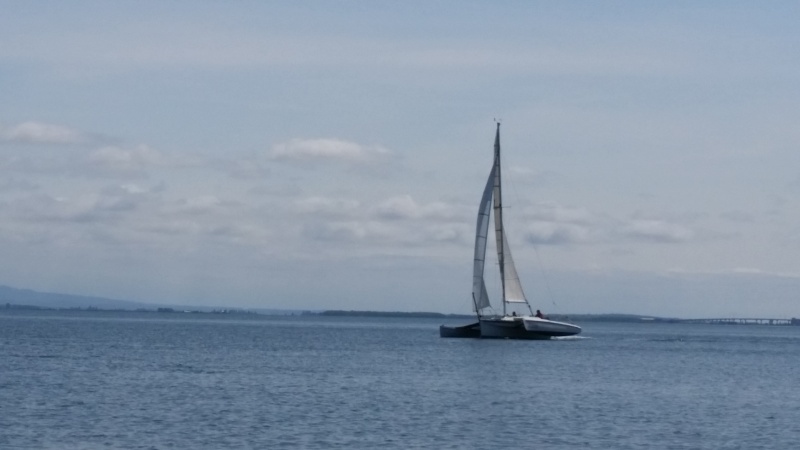 Someone's sailboat....they are really moving along too!