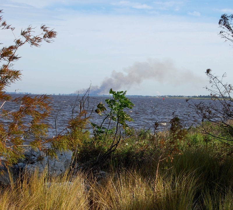 Something is always burning around the lake...always.