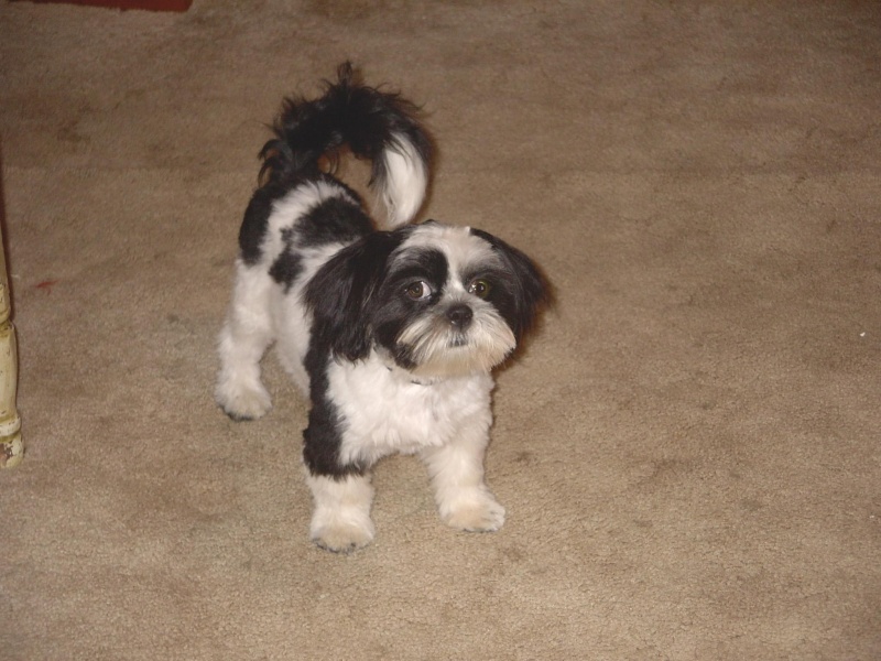 Sophie 9-7-06
