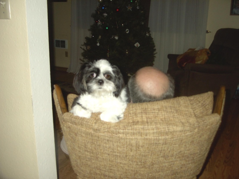 Sophie and G\'pa