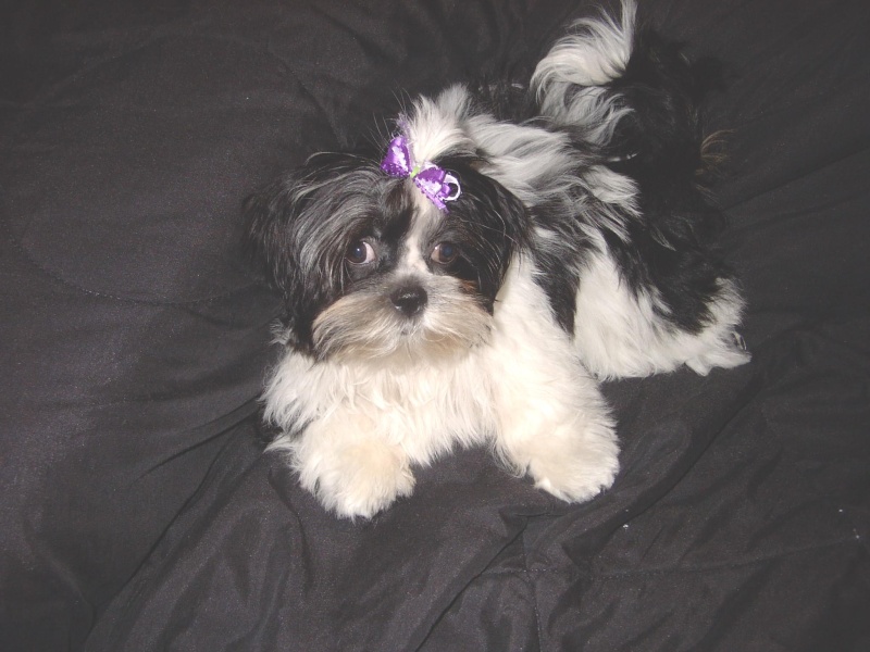 Sophie