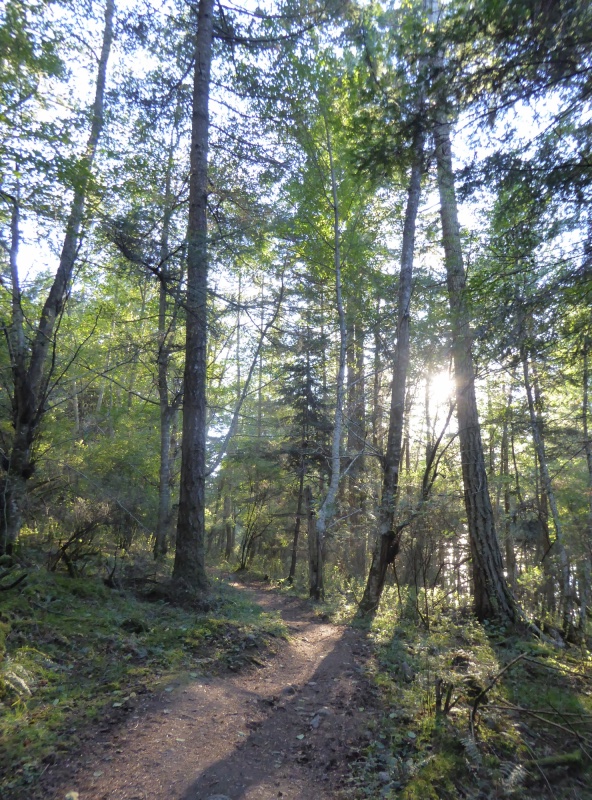 Sound trail