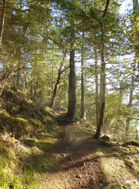 Sound trail