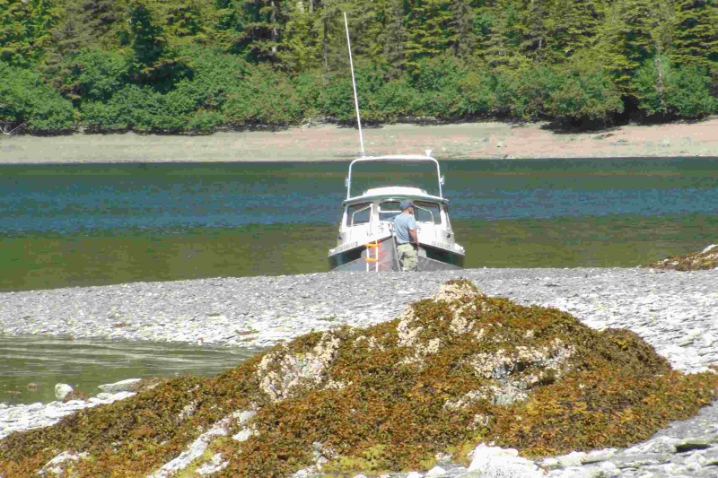 South End Ester Passage