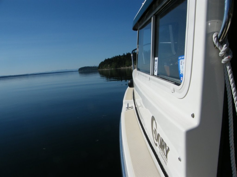 South Sound, near Anderson Island. What a day on the water!
