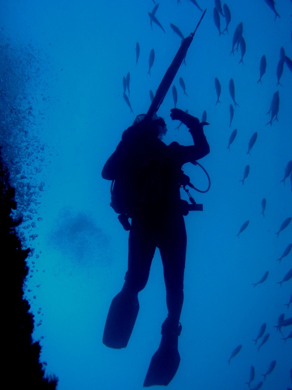 Spearfishing on rig off Port Aransas