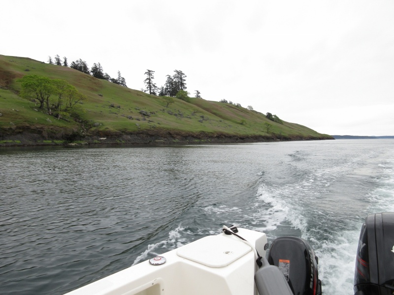 Spieden Island is so picturesque this time of year, before the grass turns brown.