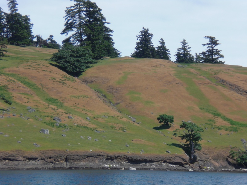 Spieden Island, San Juans.