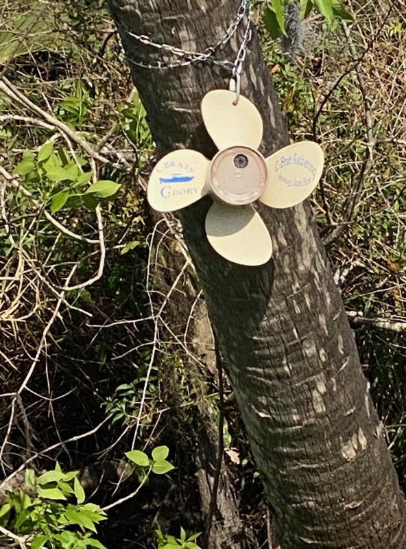 Spotted in the wild on Blue Creek! The last storm must have blown away any camouflage because it was out in the open &#128514;