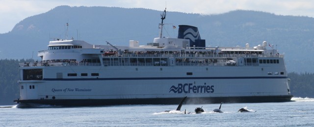 spring gulf islands 2009 117