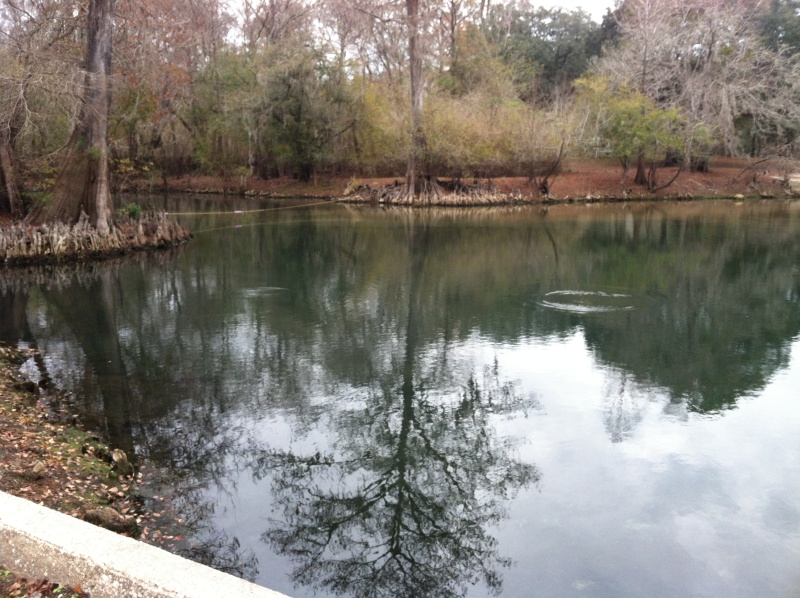Springs everywhere.