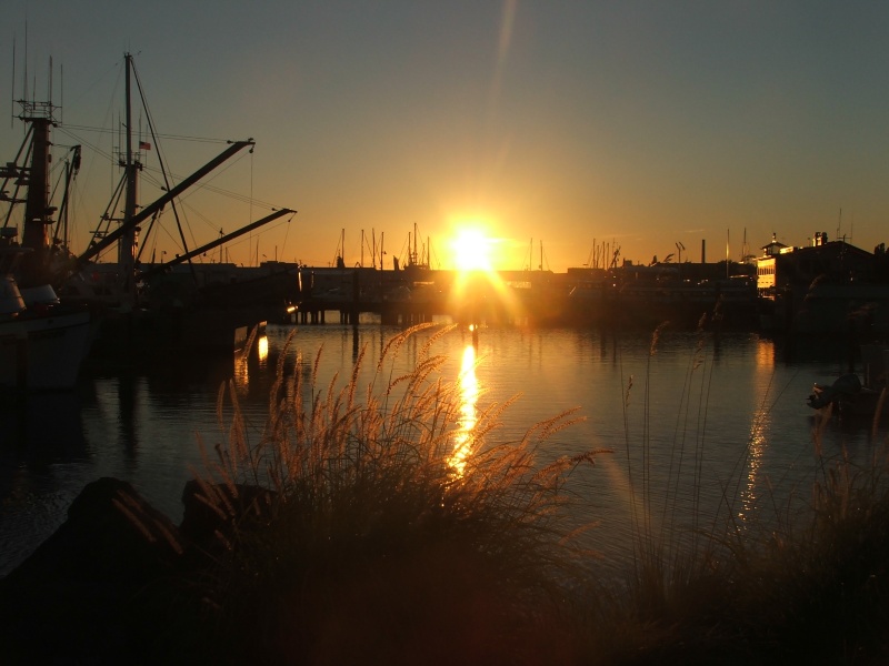 Squalicum Sunset