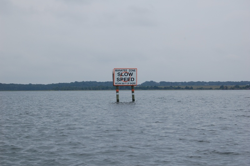 St Johns & ICW