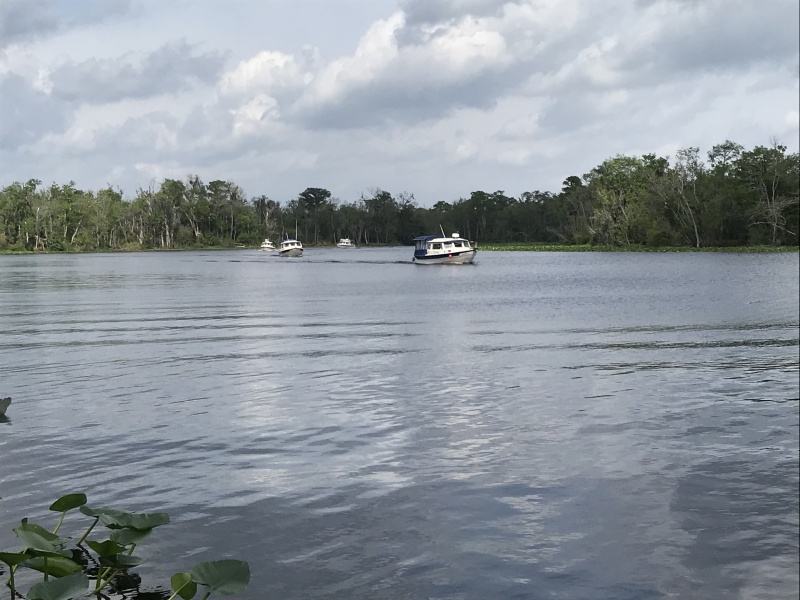 St Johns River C Dorys