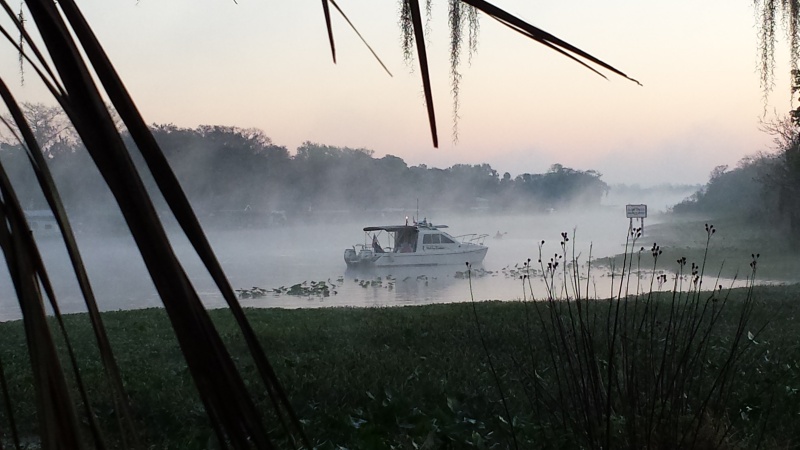 St. John's River Gathering, Molly Brown at Hontoon Island State Park 2016