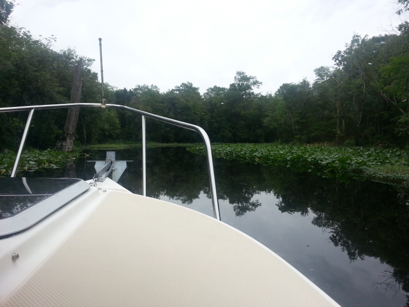 St Johns River