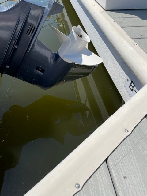 Stainless Steel Skeg for protection