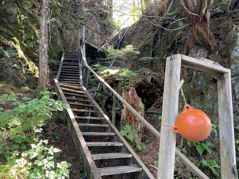 Stair way to Home, port Alexander