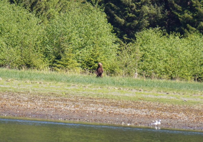 Standing near Sister Lake