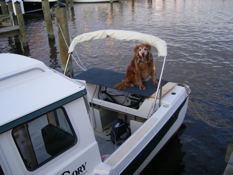 Stella left on boat