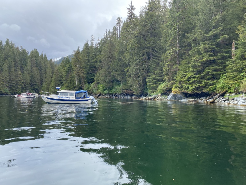 Stern tied, warm springs bay