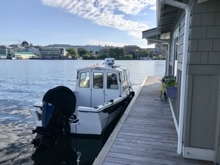 Stern