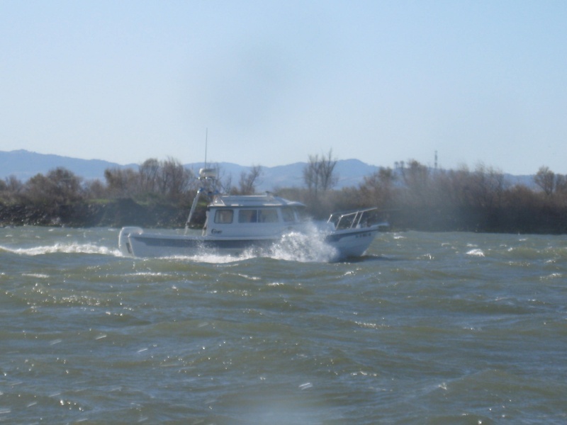 Steve (sea spray)  duking it out in the San Jaquin river in 25 plus and 3 footers following a ship.  Dusty afternoon.  photo from Kerri On
