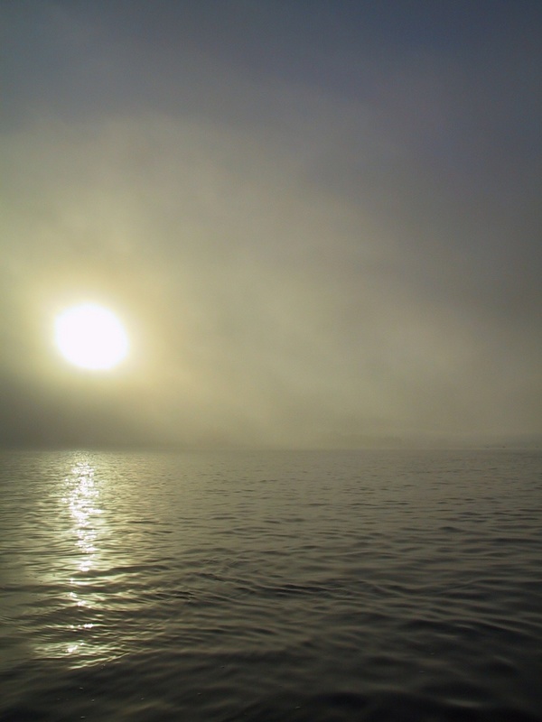 (stevej) Friday AM fishing in the fog