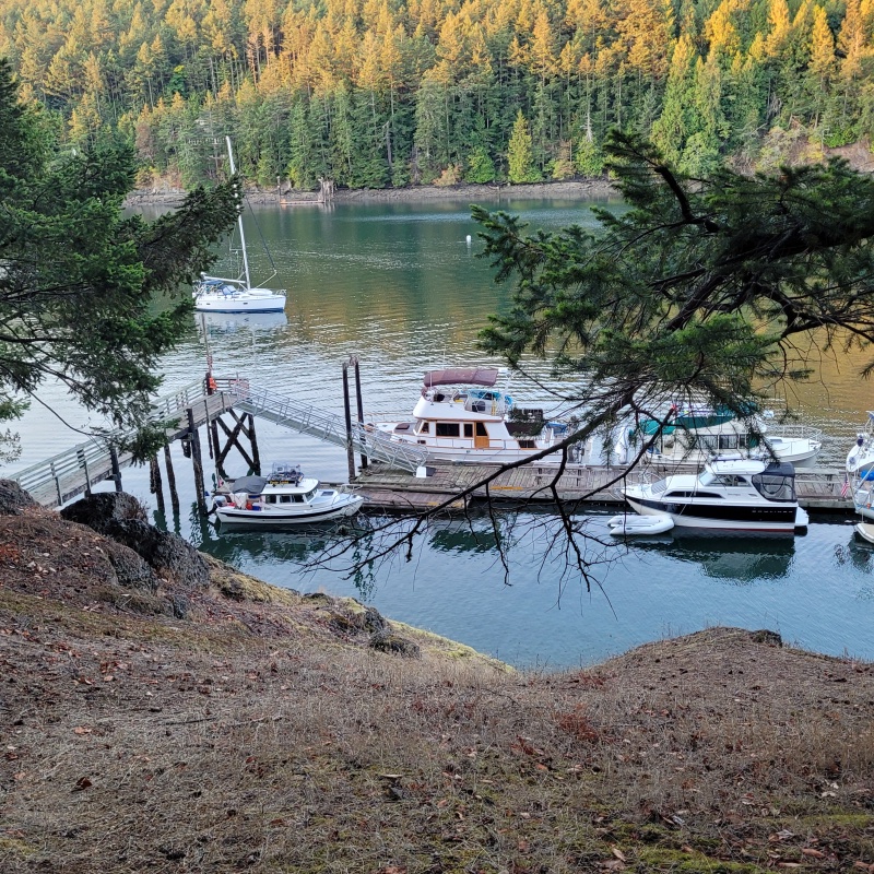 Stewart Island Moorage