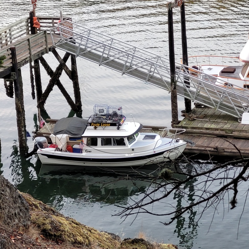 Stewart Island Washington