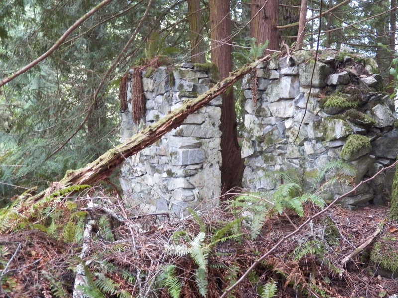 Still a lot of wall remaining out in the woods.